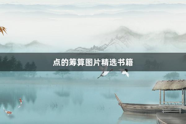 点的筹算图片精选书籍
