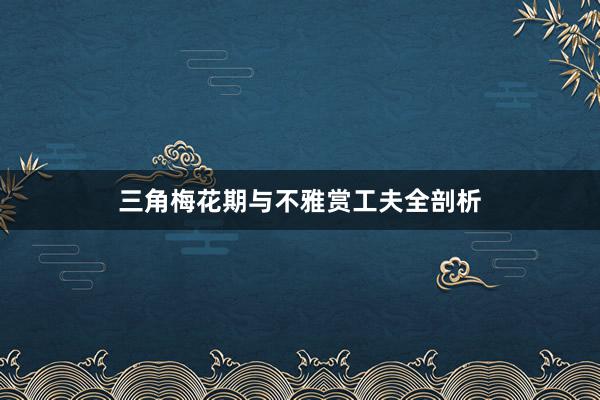 三角梅花期与不雅赏工夫全剖析