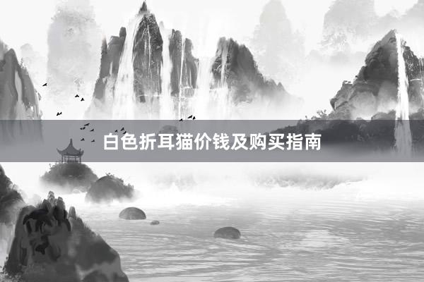 白色折耳猫价钱及购买指南